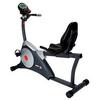 IRONMAN BIKE 220 RECUMBENT - Product Image