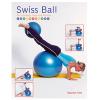 Swiss Ball for Strength, Tone and Posture Book - Product Image