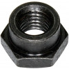 3005517 - Nut, Stop - Product Image