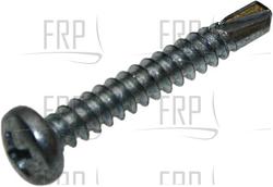 Screw - Product Image