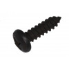 Screw, Tapping, Oval - Product Image